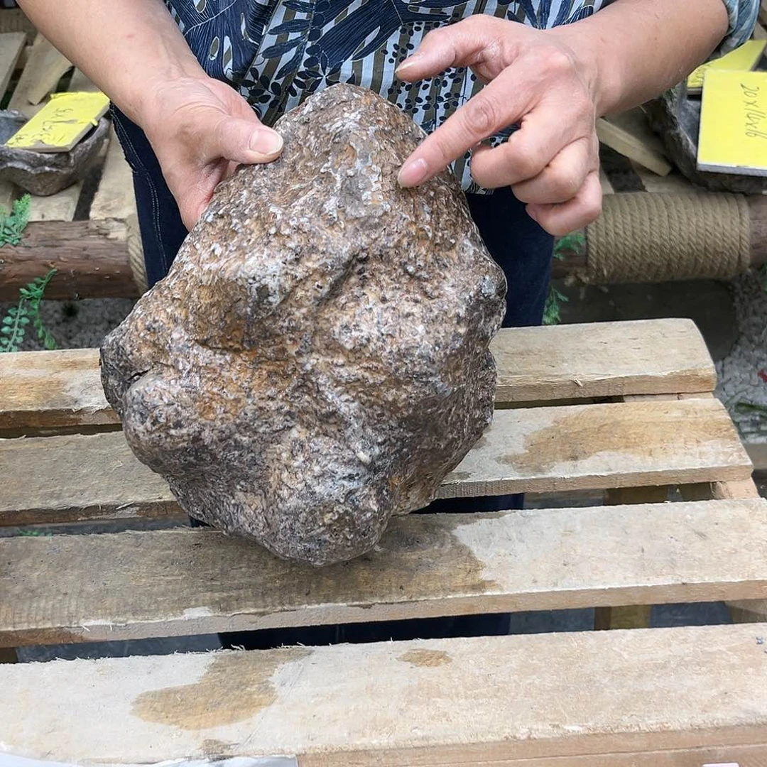 复合20CM以下P2-010