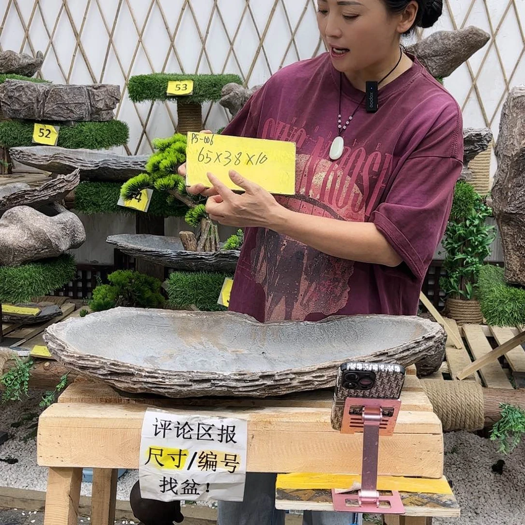 盆景艺术的设计师p5-006