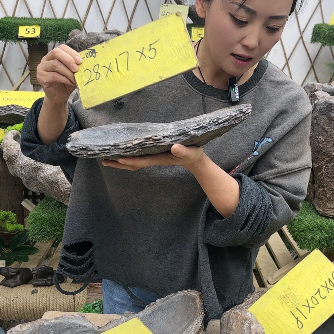 盆景盆盆景盆P5/002