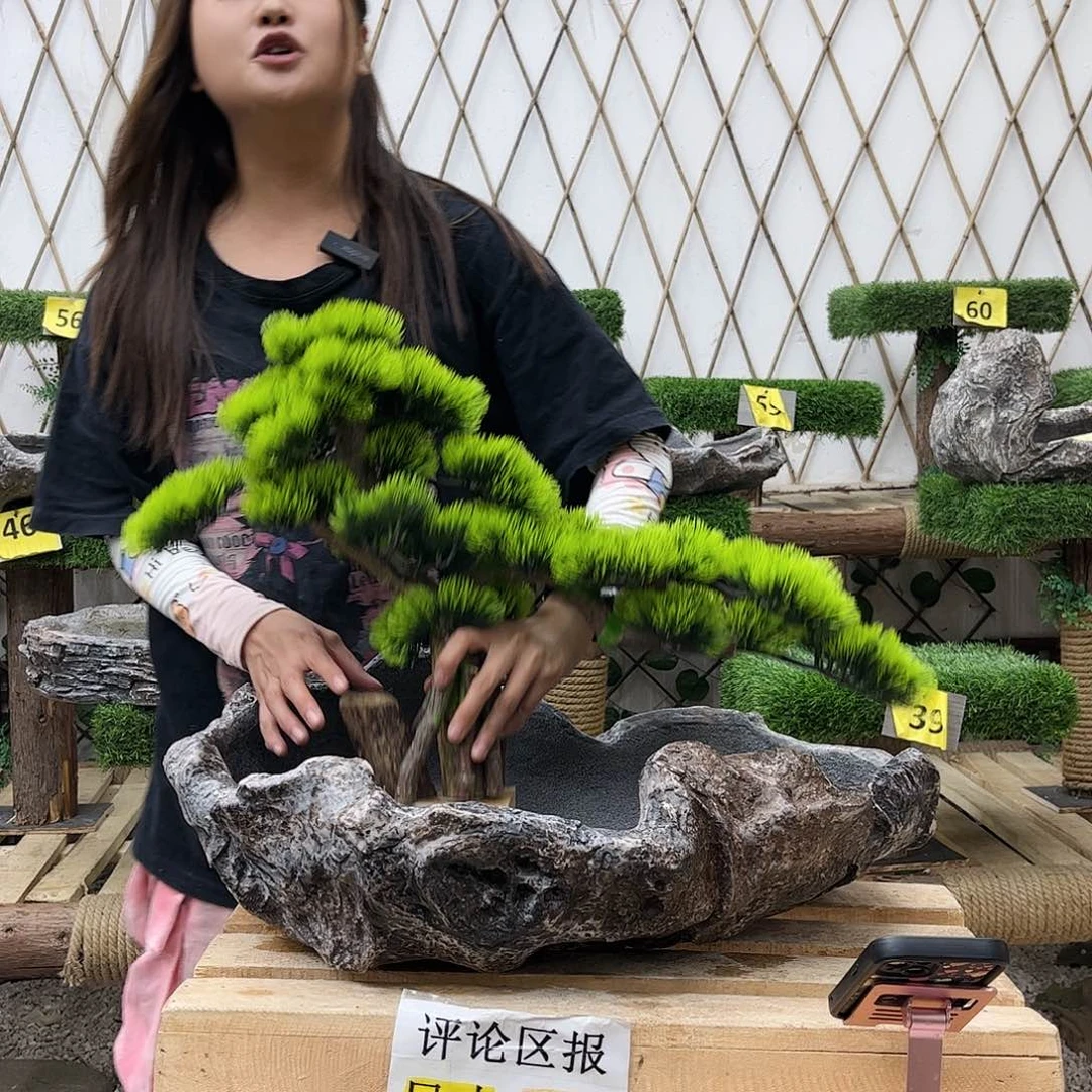 盆景艺术的设计p1-021