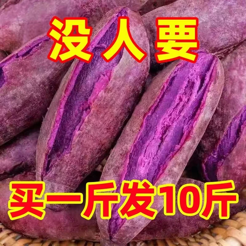 【半价抢】新鲜紫罗兰紫薯1/9斤现挖紫心蜜薯地瓜番薯蜜薯烟薯蔬菜*