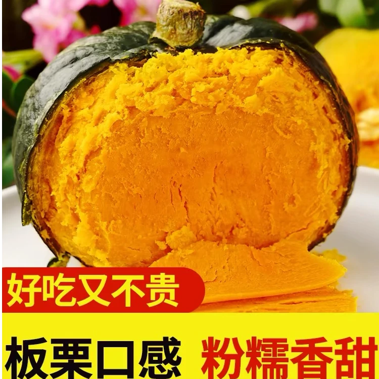 宁夏沙地贝贝板栗南瓜香甜粉糯肉厚细腻板栗味带箱5.5-6斤