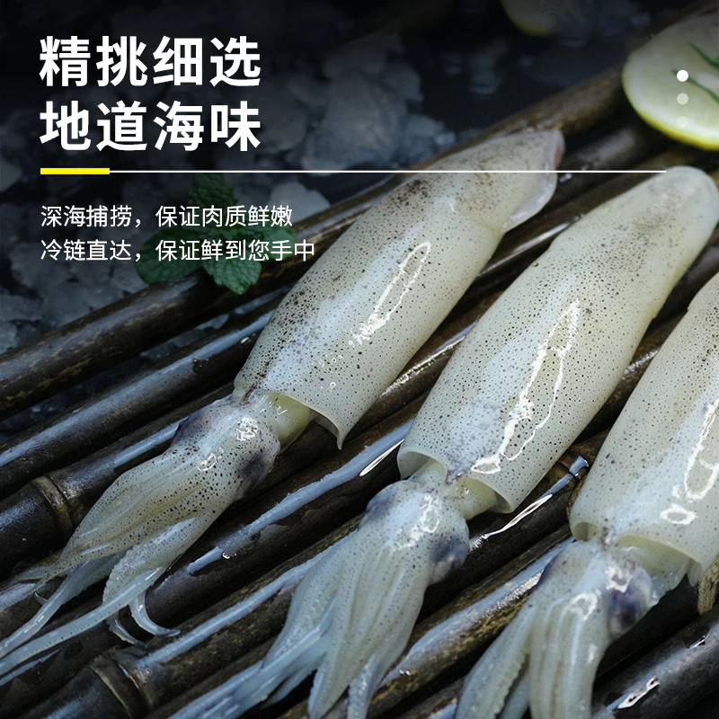 3盒净重3斤青岛笔管鱼海兔 鲜货速冻少量带籽冷链