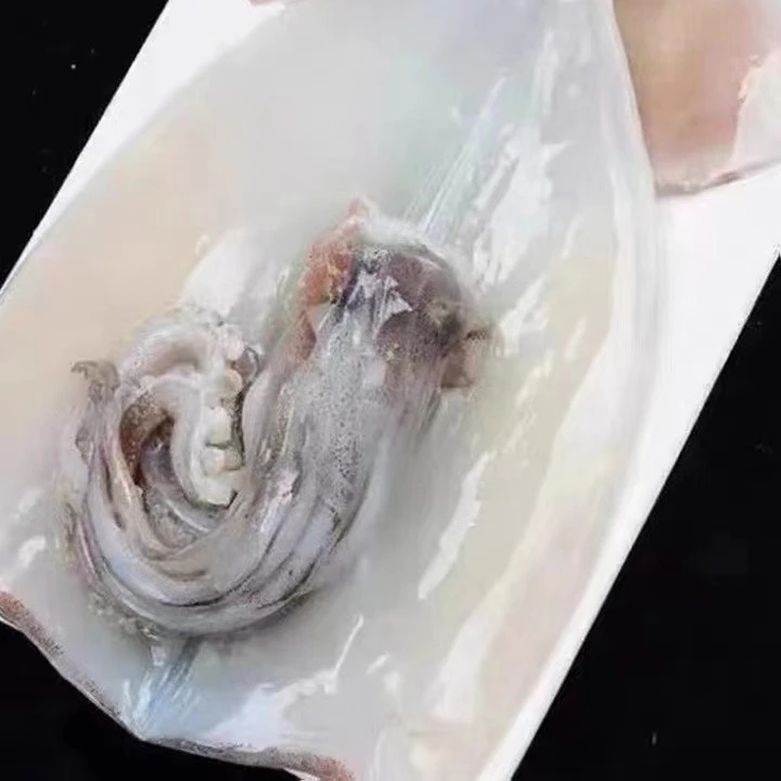 深海大鱿鱼 去内脏大鱿鱼三去鱿鱼 5斤 青岛发货