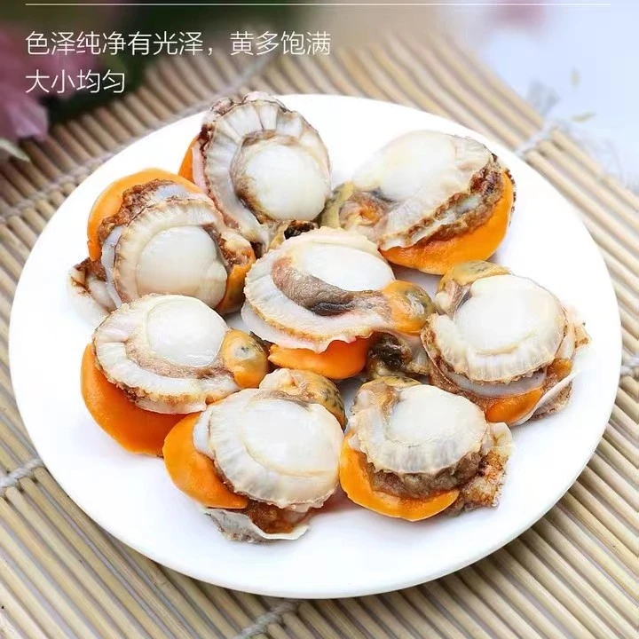 （大禹）青岛本地扇贝肉4斤饱满新鲜