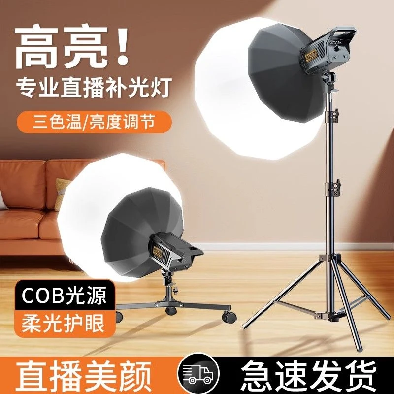补光灯拍摄专用直播间球形打光灯主播专用美颜嫩肤摄影拍照补光灯