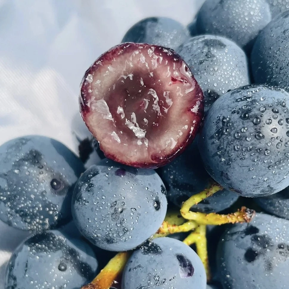 【凌聚果业】云南蓝莓葡萄原箱胶框装爆汁脆甜爽口嘎嘎好吃