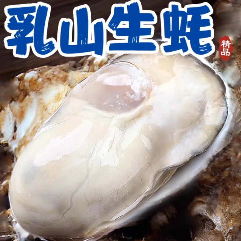 【鲜活乳山生蚝】牡蛎 新鲜蒸烤海蛎子刺身10斤装鲜活肥