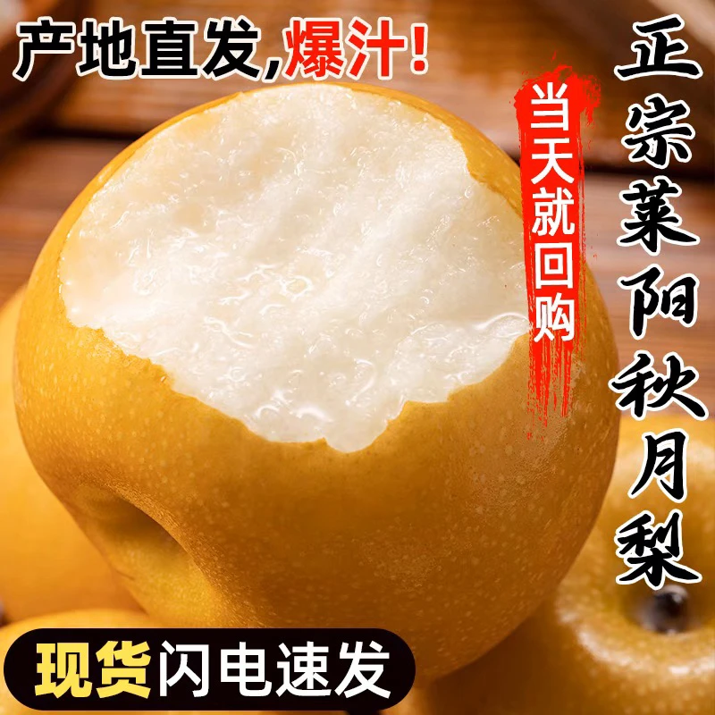 【宫司令】莱阳原产地正宗秋月梨现采现摘香甜细腻无渣