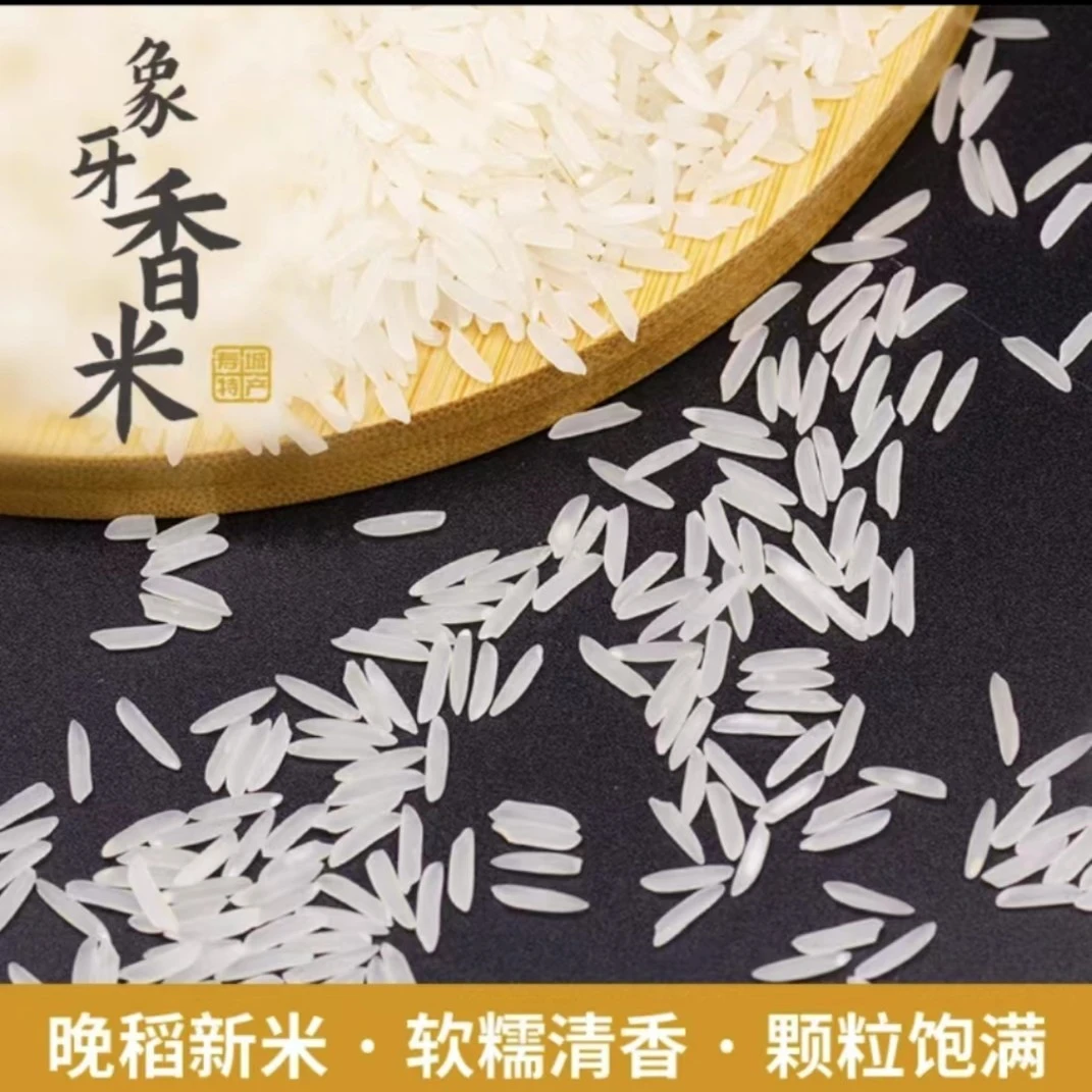 10KG苗丝米