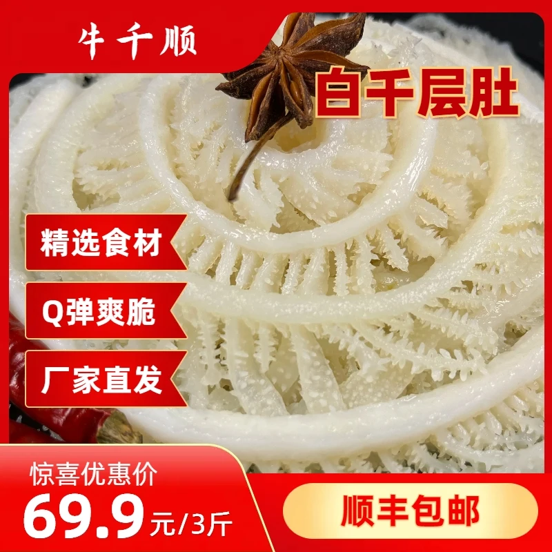 牛千顺【白千层】新鲜毛肚干净牛百叶生鲜火锅食材牛牛肚净重1500g
