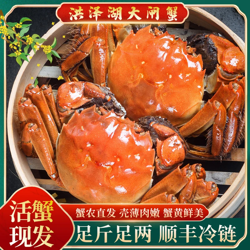 【活蟹现发】大闸蟹公（4.0-3.7两）母（3.0-2.7两）8/10只顺丰包邮d