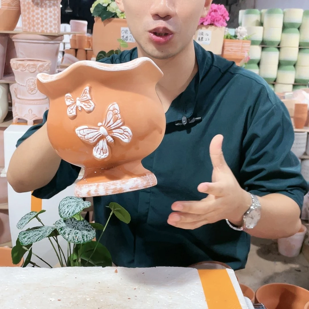 【闪购商品】红陶20CM以下擦白蝴蝶16-16