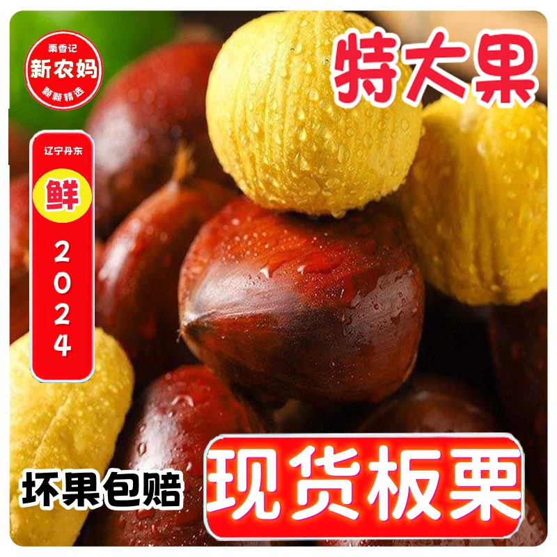 2024年【现摘现发】新鲜高山老树板栗生板栗粉糯香甜饱满成熟食用