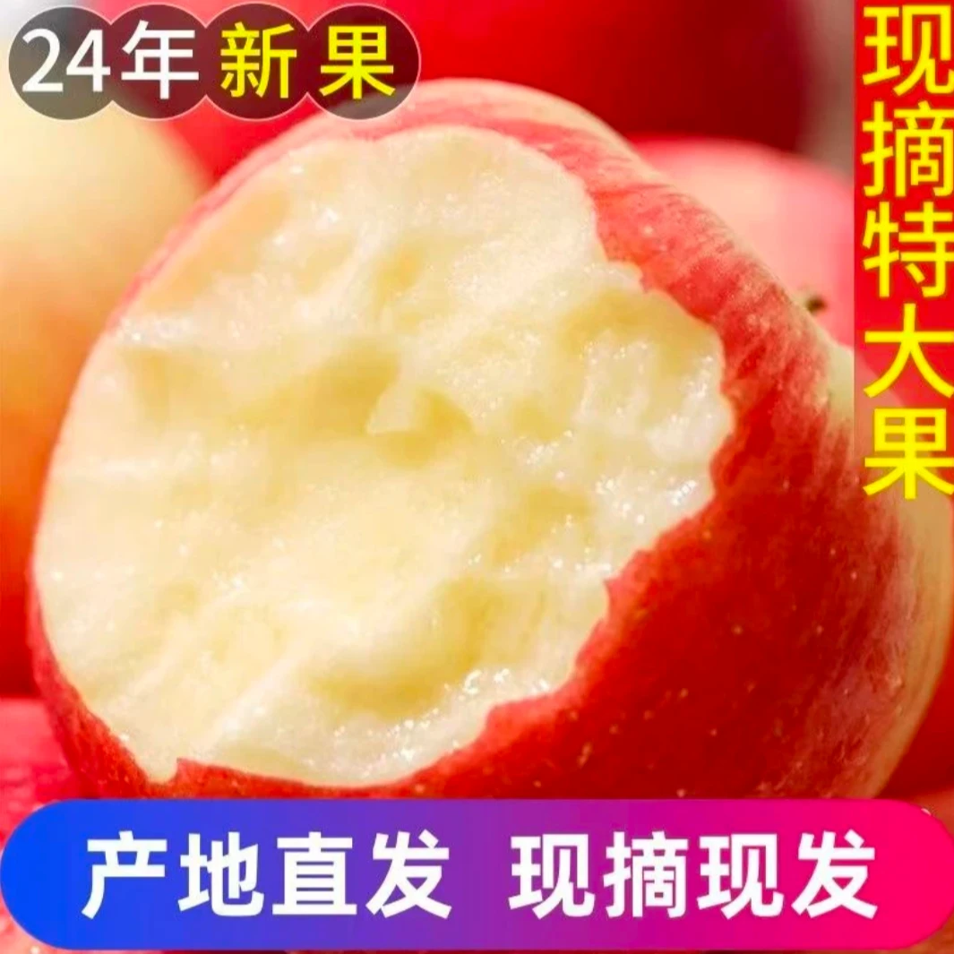 24年苹果5斤一箱当季水果健康水果