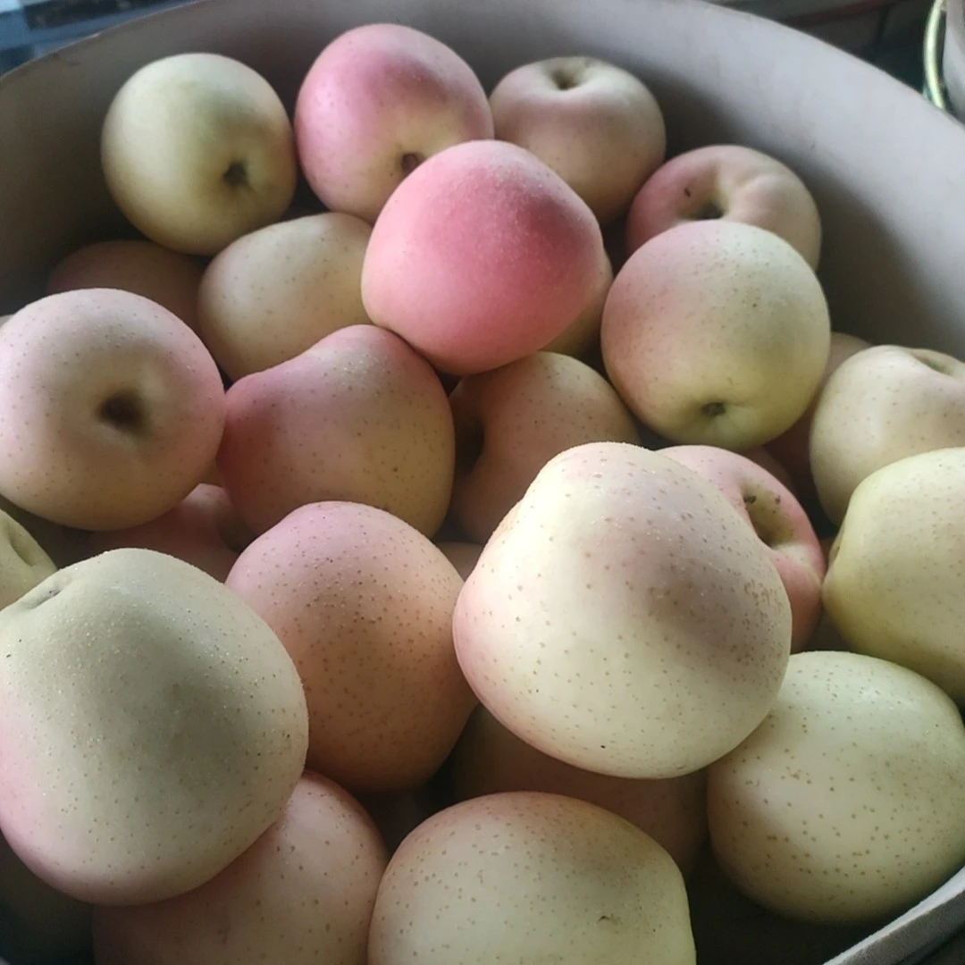 【辽宁专拍10斤/18斤家庭装】大连红脸王林苹果雀斑丑苹果王林苹果