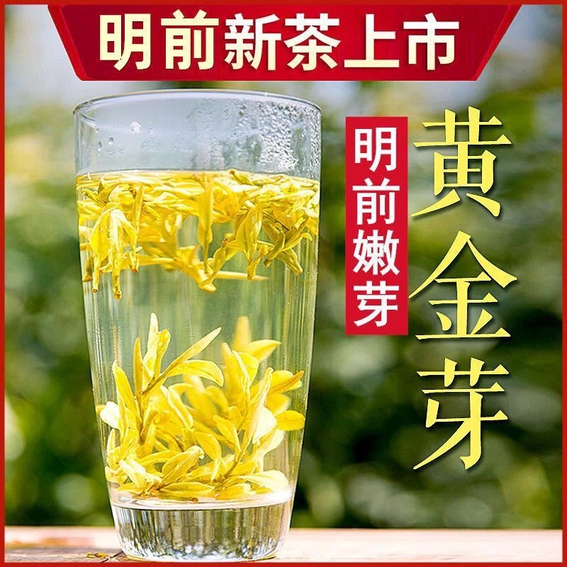 25年春季明前采摘清香兰花香黄金芽绿茶 鲜爽甜茶叶滋味鲜嫩茶叶