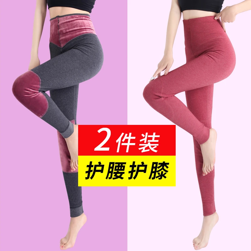 秋裤2024年新款女士高腰纯棉线裤护膝紧身保暖裤内穿单件衬裤薄款
