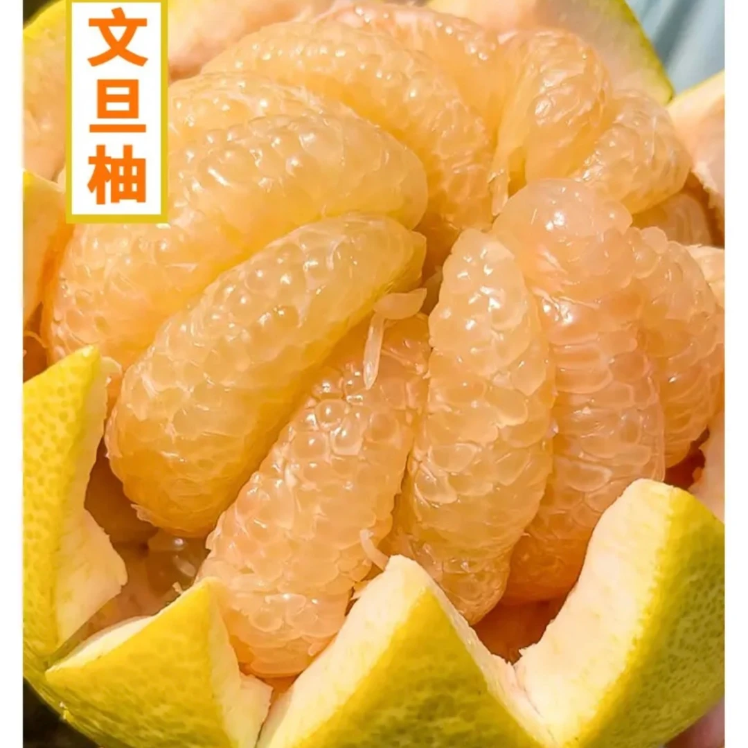 正宗度尾文旦柚季节水果孕妇老人小孩必备 单果约重 450g-600g