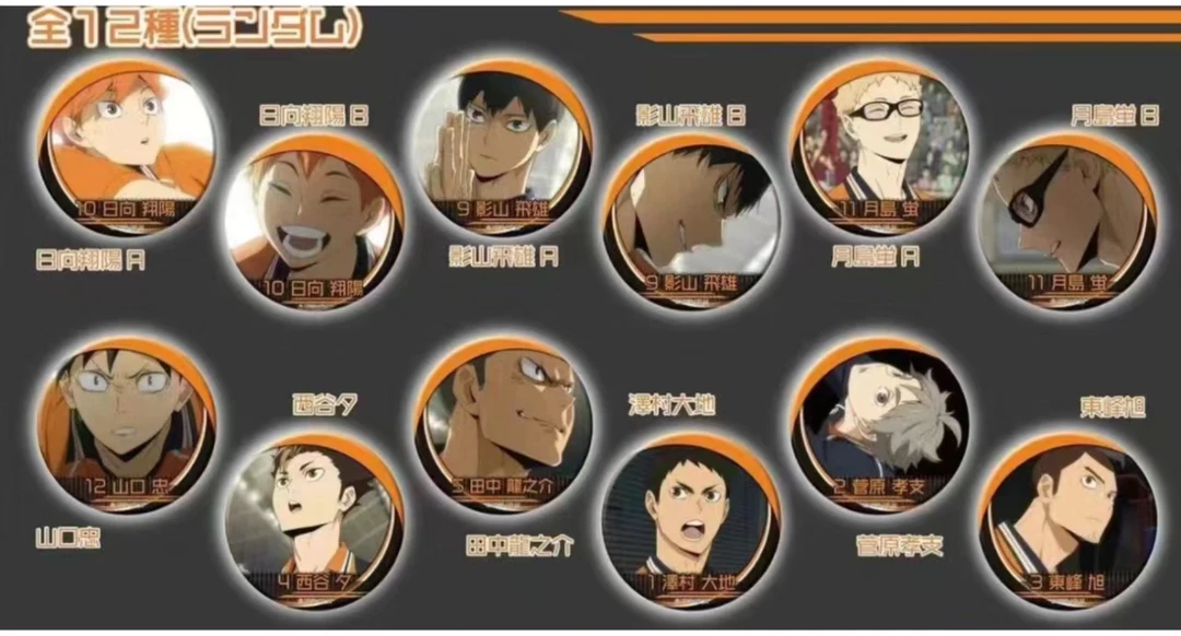 【锤锤】排球少年JS限定乌野音驹浮雕吧唧（默认代拆）