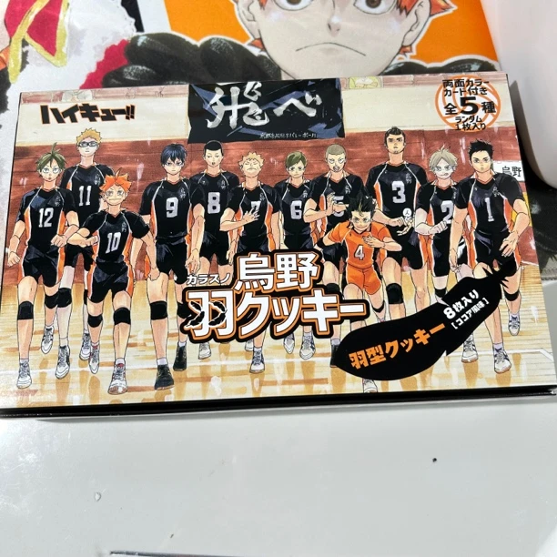 【锤锤】排球少年乌野羽毛食玩卡（默认代拆）