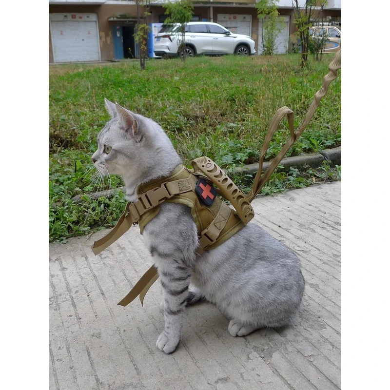 猫咪牵引绳胸背带战术马甲衣服链子外出背心式遛猫小型狗幼犬套背