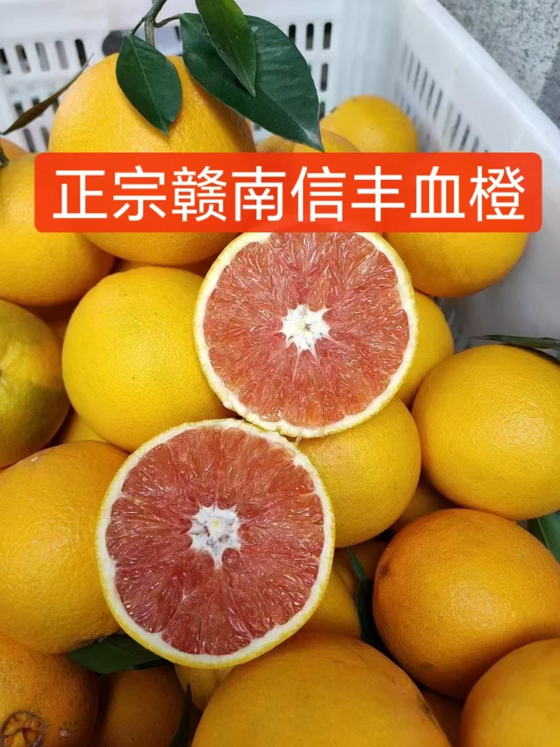 江西正宗赣南血橙整箱中华红心血橙子新鲜水果现摘现发源产地直发