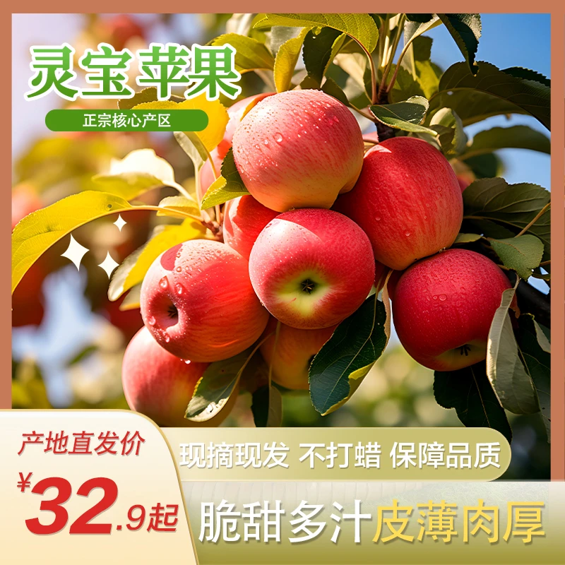 正宗灵宝苹果寺河山红富士苹果脆甜多汁皮薄肉厚现采现发坏果包赔