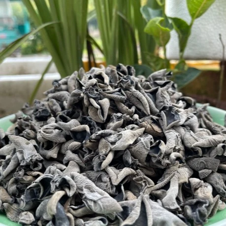 【黑木耳】仿野生 椴木无根 冬耳 （250g/500g）