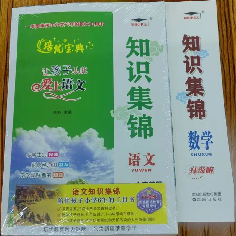 （新疆专版）新疆内初班考试必备知识集锦语文+数学【新疆包邮】
