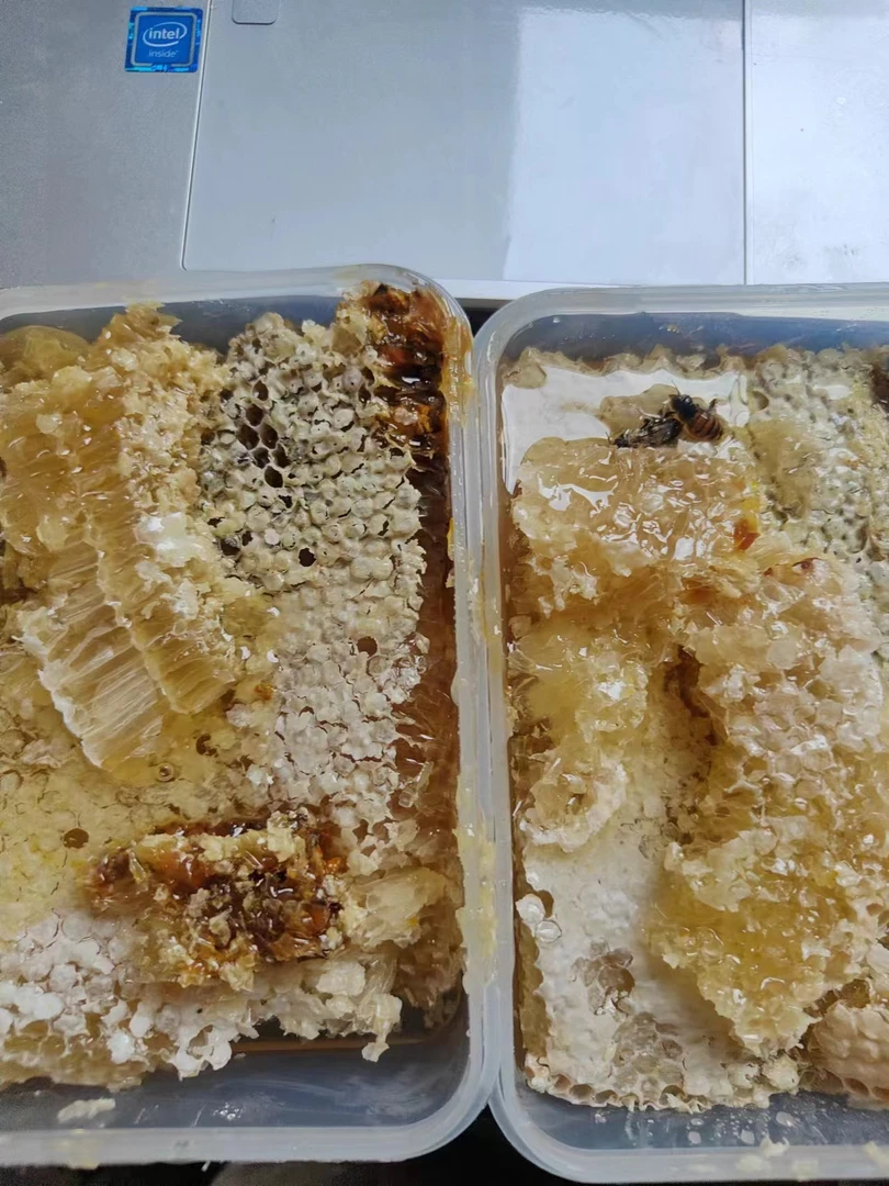 纯野生中蜂，盒子装巢蜜现实三天买十送一