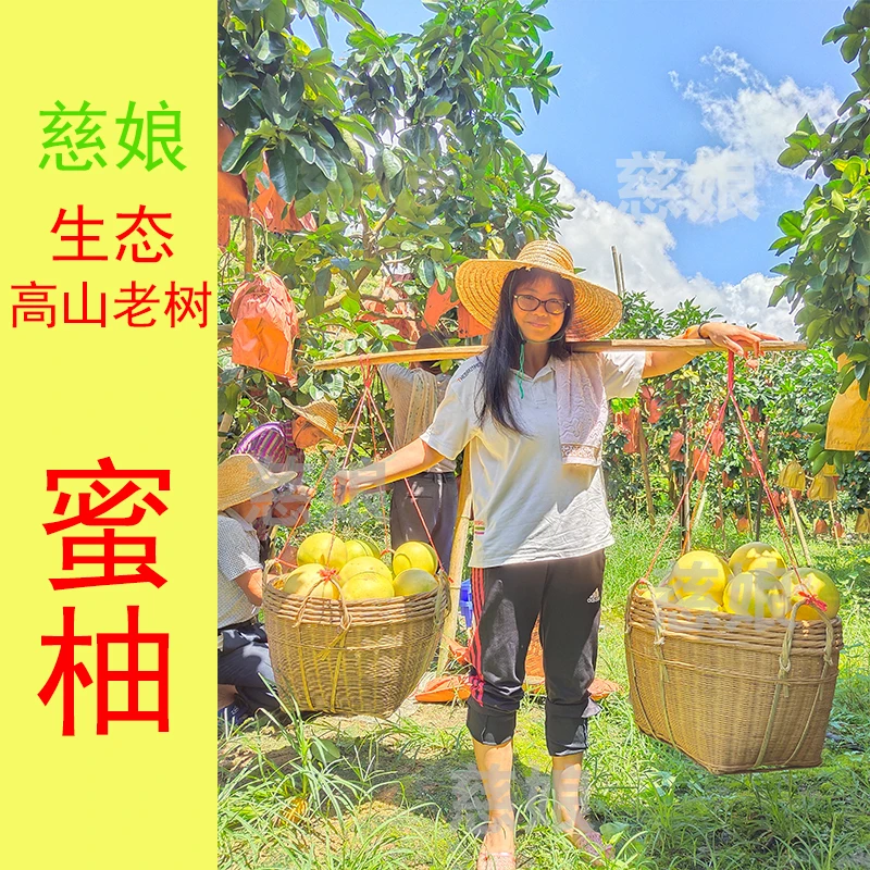 广西容县红肉酸甜新鲜多汁蜜柚2/4/6个装正宗老树果产地
