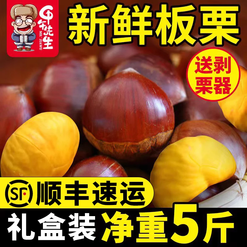 【顺丰包邮】新鲜丹东精选大板栗3/5斤批发菜栗子高山野生锥栗毛栗