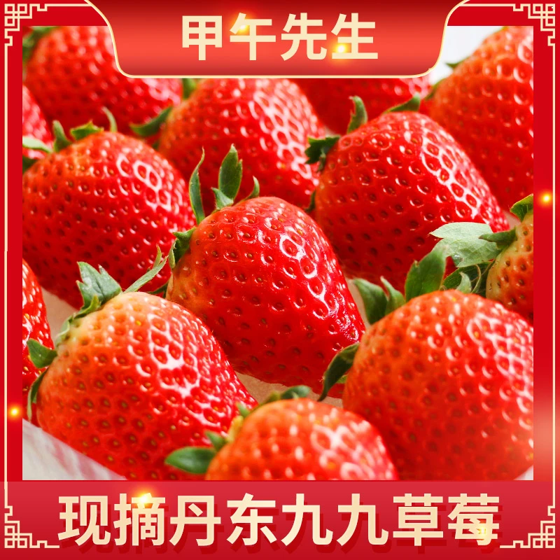 丹东99草莓九九红颜新鲜牛奶奶油东港正现摘现发