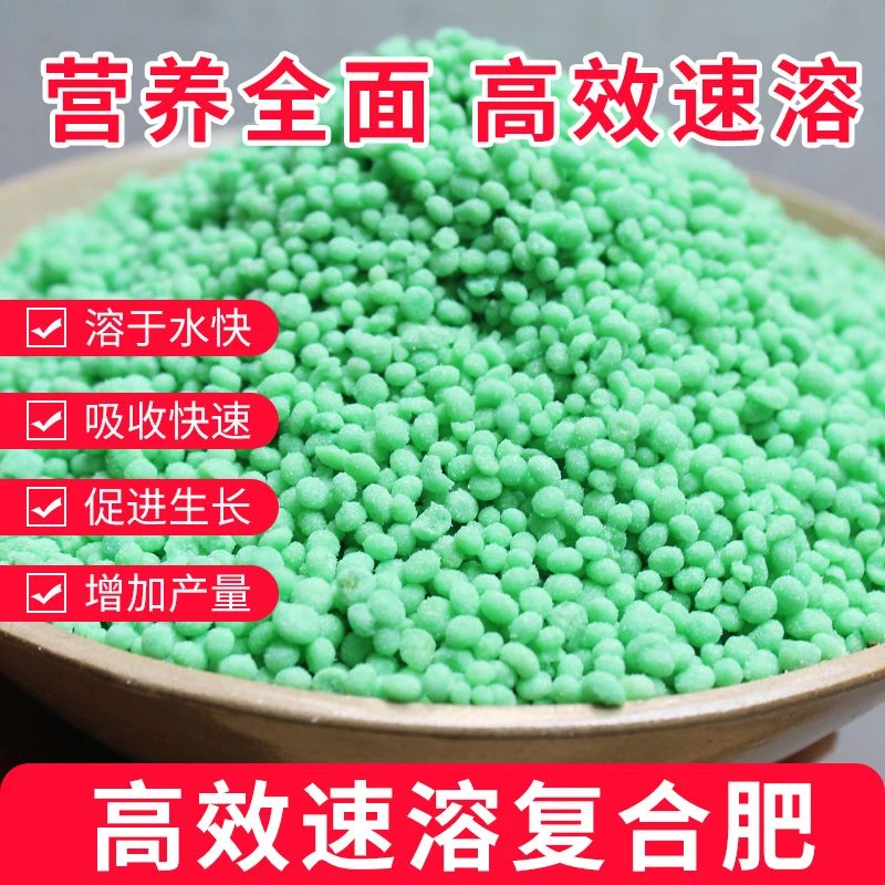 百合竹专用肥同时也适合其它绿植盆栽叶片嫰绿就选它复合肥