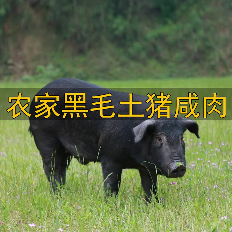 安徽腊肉农家手工自制咸肉无添加剂日晒风干咸五花肉黑毛土猪