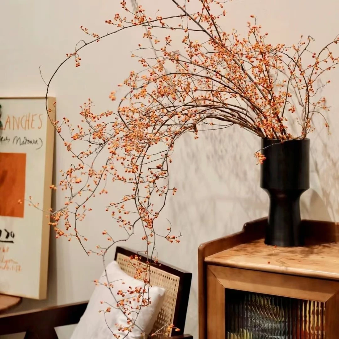 南蛇藤 水培绿植园艺可以做干花中式侘寂风顺丰包邮