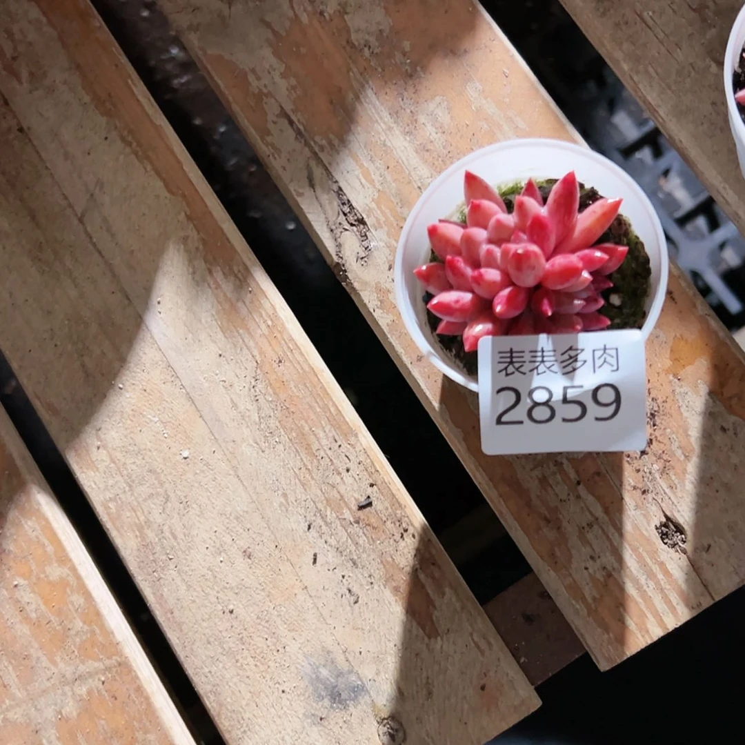 【闪购商品】水***。每天2 8 5 9