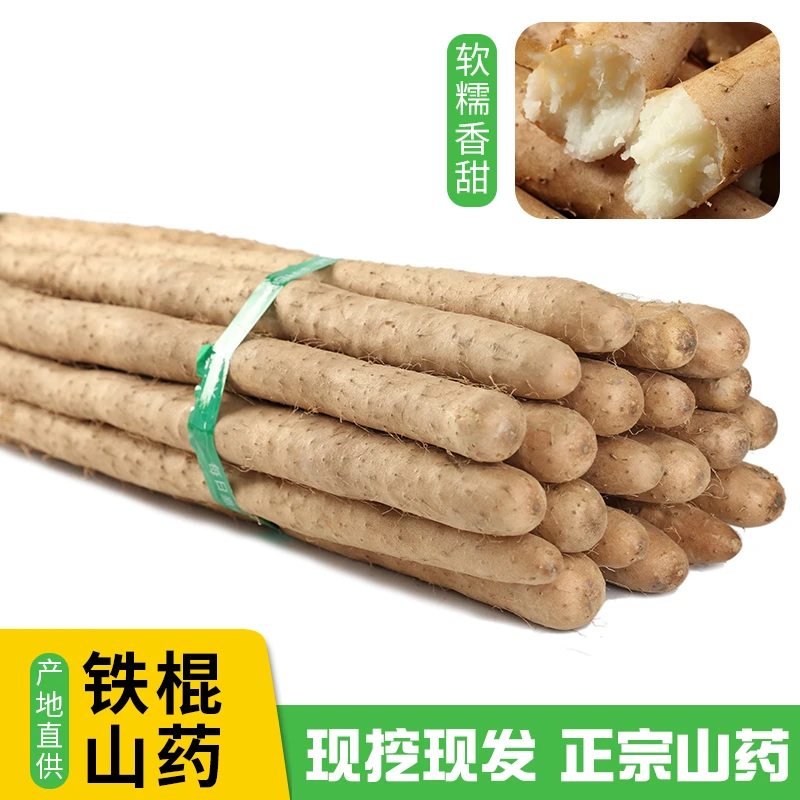 正宗铁棍山药软糯香甜营养高产地直发新鲜宝宝辅食