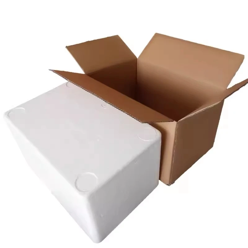 兰寿金鱼活体观赏鱼顺丰陆运发货