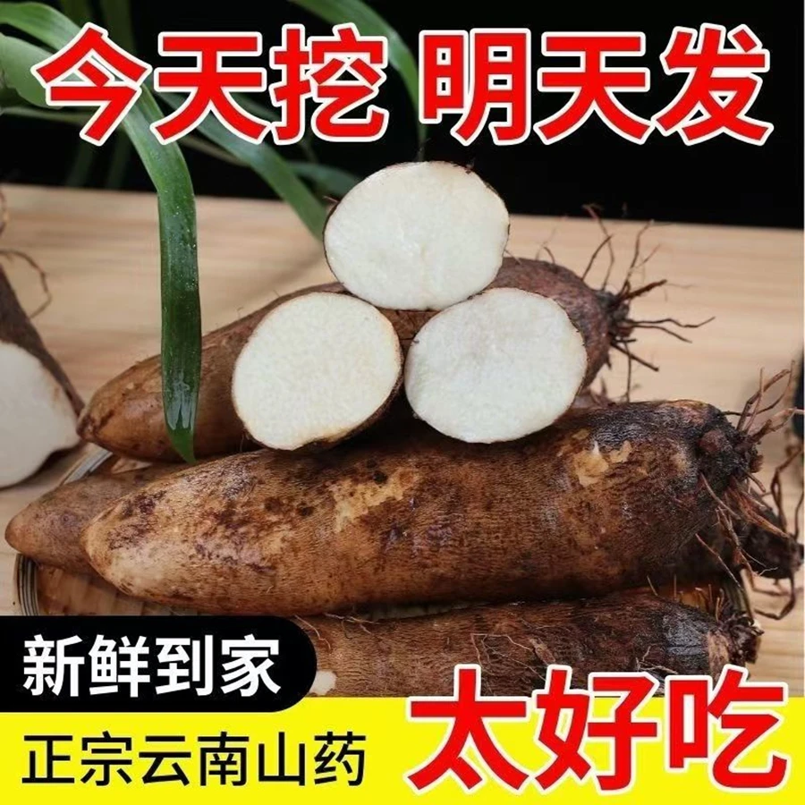 正宗云南文山灵芝山药9斤5斤3斤皮薄软糯香甜农家特产高原蔬菜