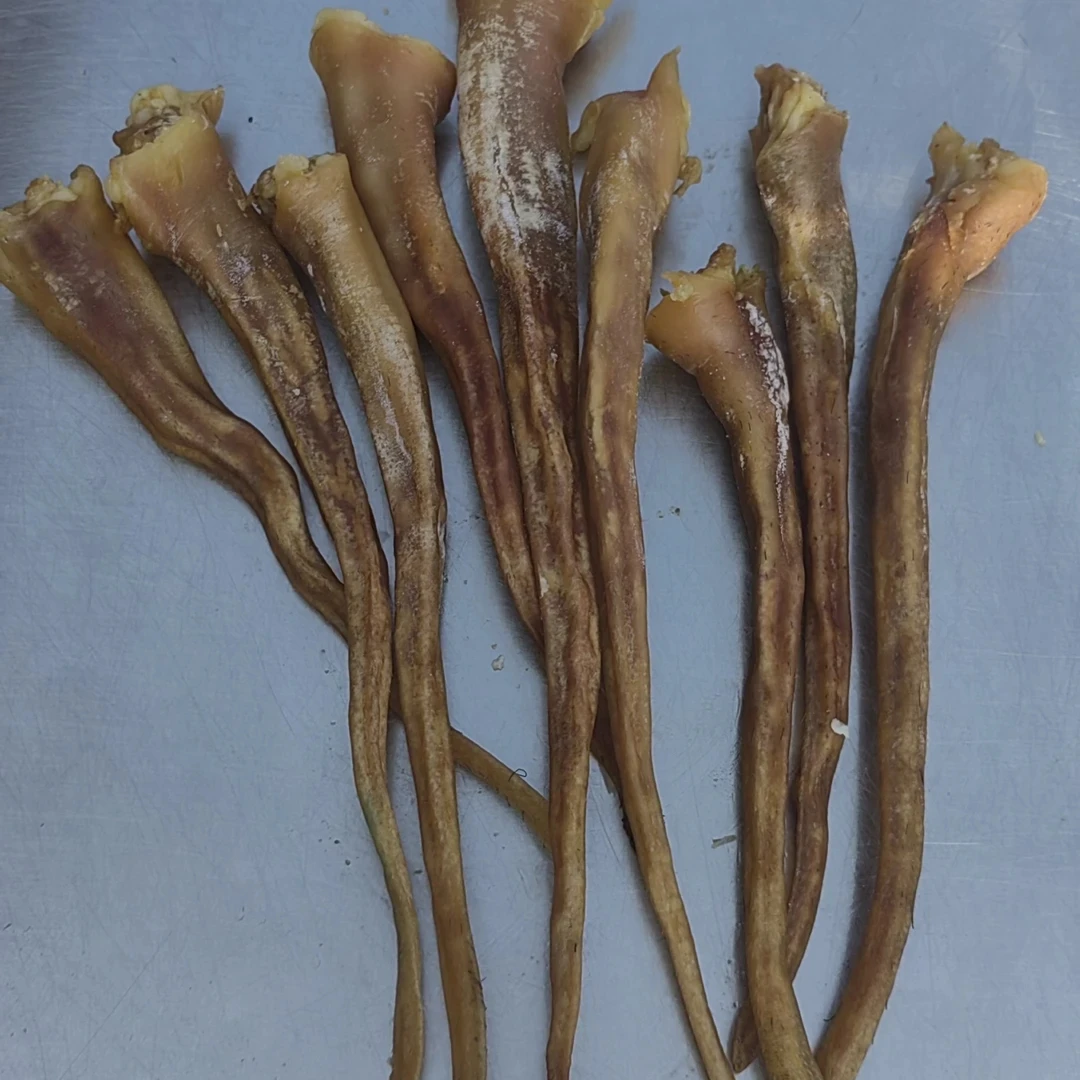 大别山生态黑毛猪尾巴