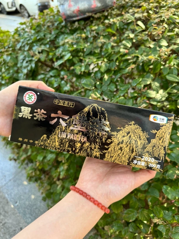 经典黑盒六堡茶广西六堡茶
