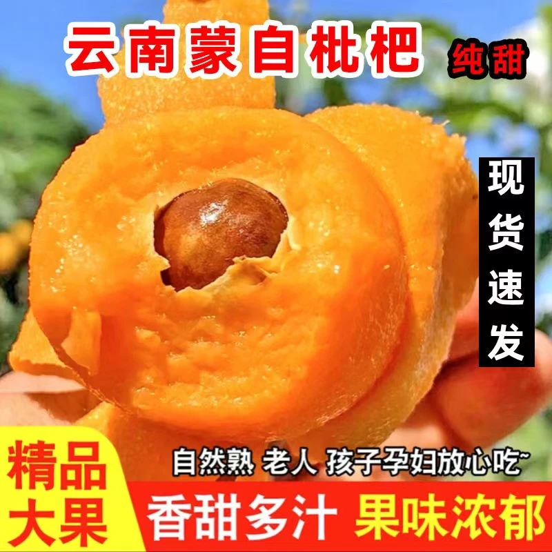 蒙自枇杷新鲜现摘枇杷果酸甜多汁云南高山种植长虹枇杷【顺丰包邮】