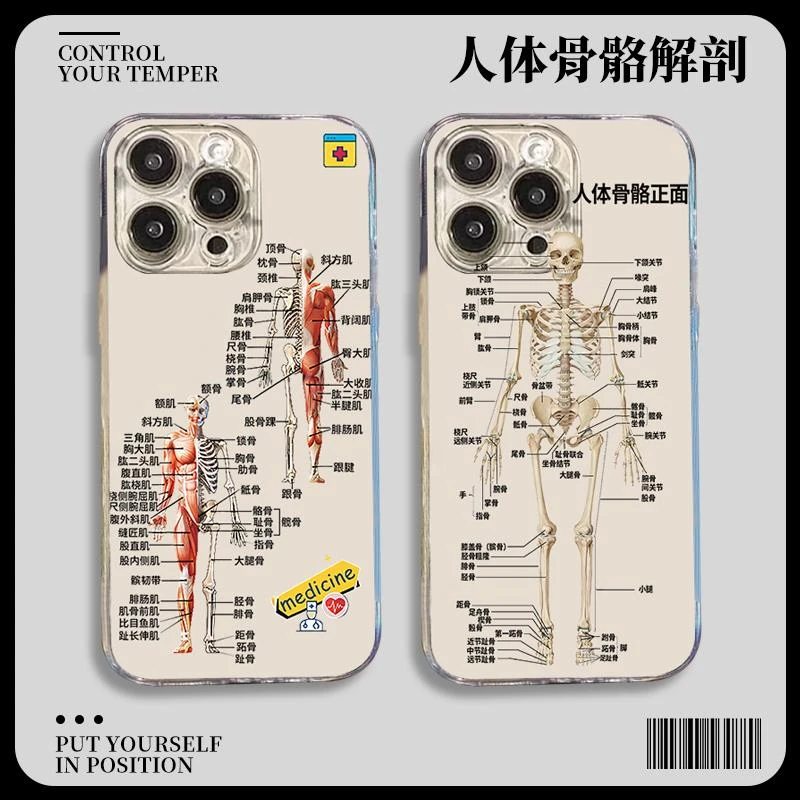 适用人体骨骼高级感苹果15iPhone14解剖15promax正面医学生手机壳