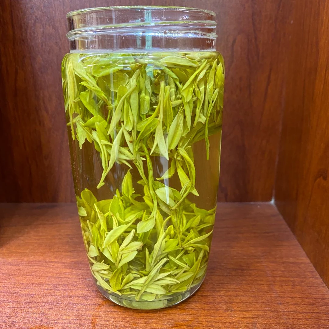 ~2023春茶新茶488黄金叶