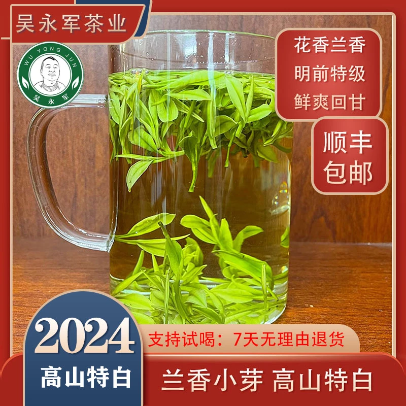 ·2024新茶明前特级兰香小芽高山特白口感鲜爽回甘