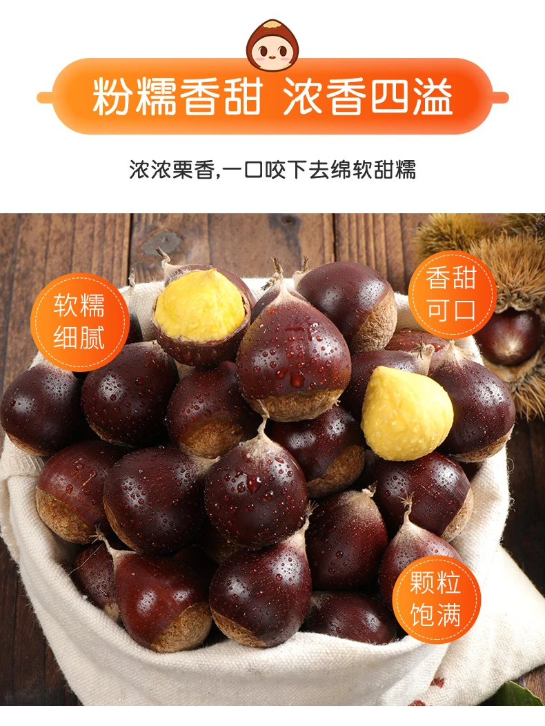 锥栗生栗子新鲜板栗批发野生小油栗3/5斤/10斤大板栗饱满深山栗香