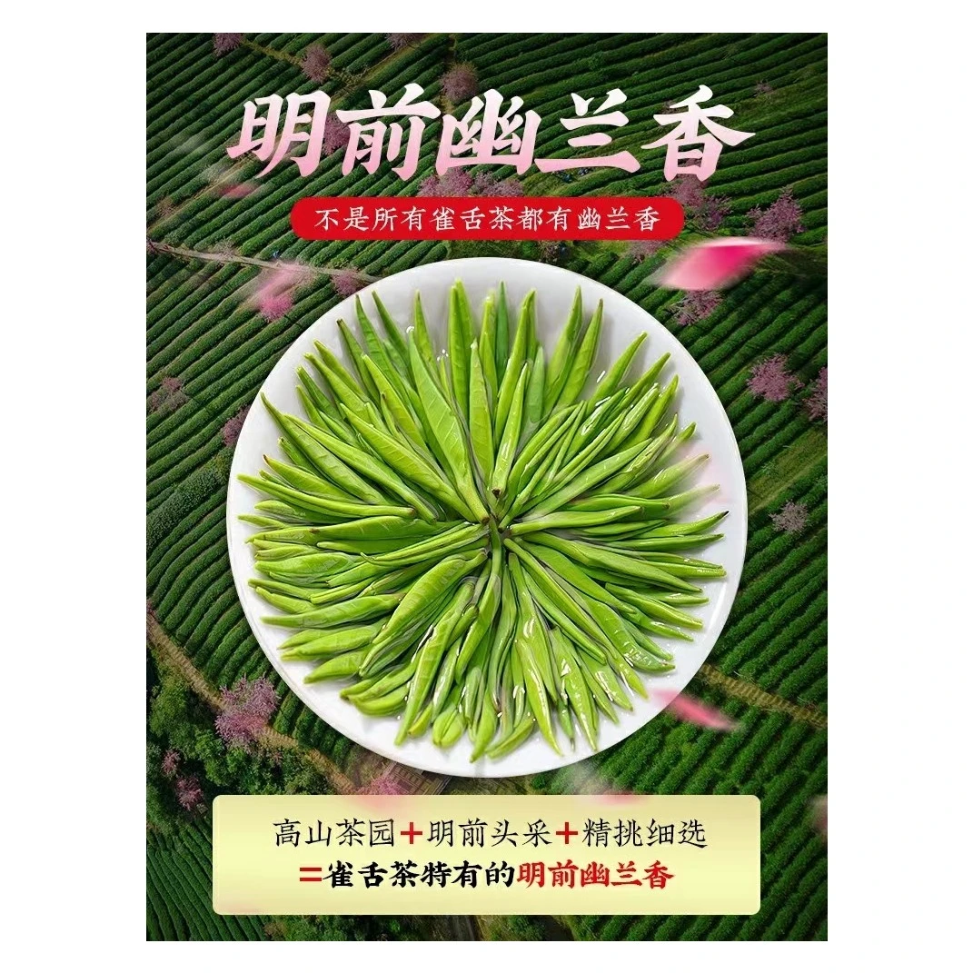 直条毛尖绿茶绿茶毛尖中段茶叶贵州湄潭高山绿茶茶叶绿茶高级绿茶