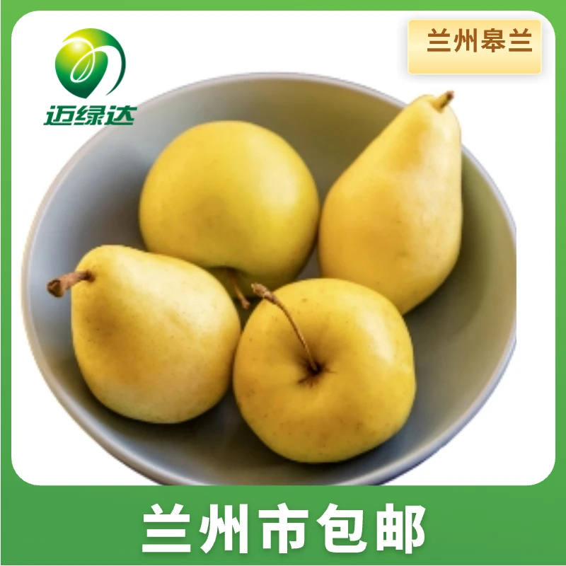 迈绿达【冬果梨】兰州冬果梨 基地现摘 5斤即食